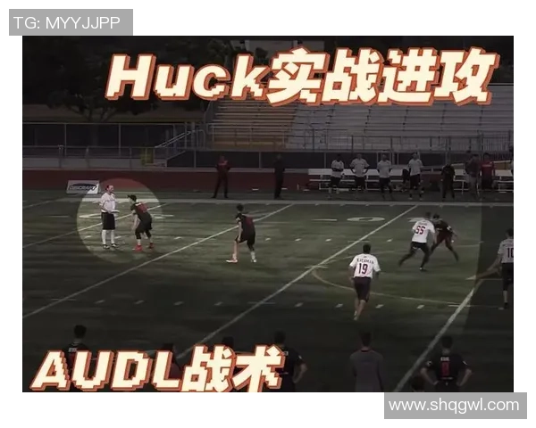 南京飞盘队个人能力深度对比分析与战术应用探讨