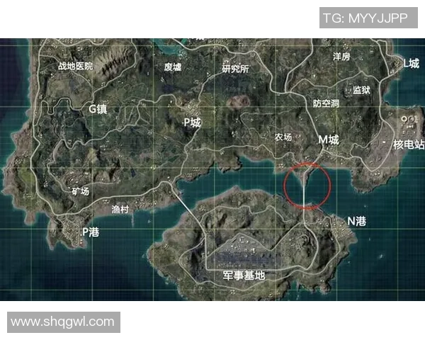 和平精英巨献：深入解析BLG战队的战术灵活性与团队协作秘诀