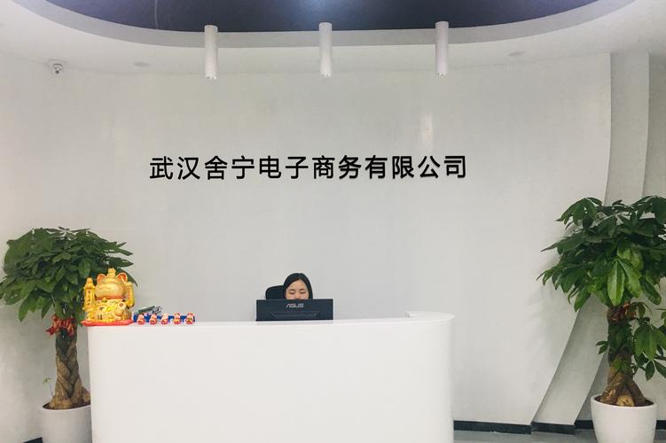 武汉舍宁电子商务